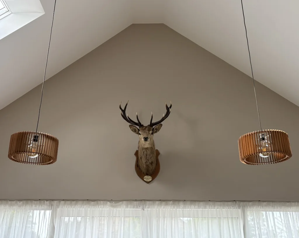 Stag Head