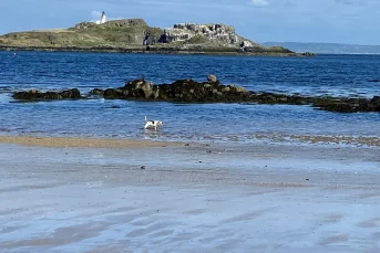 Fidra Lighthouse